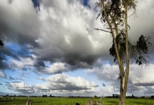 HTH:德天空:乌尔比希预计可以顶替诺伊尔出战圣保利.