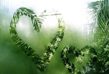 马来西亚羽毛球公开赛:安洗莹成功卫冕 石宇奇力克强敌夺冠.