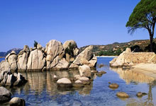 战术板 | 看5分钟就知道国足战术失败,王钰栋无球跑位最接近武磊.